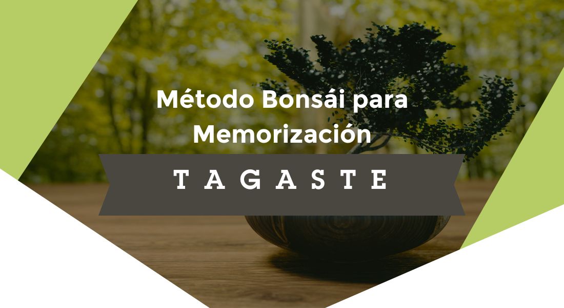 Método Bonsái de Estudio Memorízalo Todo